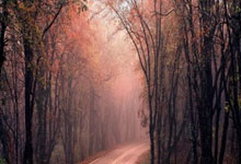 第四次给曼联送上温暖,莱斯特城为曼联将帅找回了更多信心.