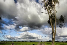 熊猫体育官网：前枪手高层：卖亨利是因为他下滑，失去速度后他就很难了.