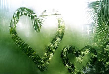 熊猫体育官网：体操世界杯：张可欣高低杠夺冠 “丘妈”跳马摘铜2025-02-24.