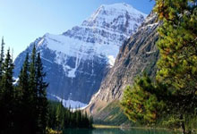 熊猫体育官网：昨天裁掉今天签回来！这波操作太搞笑，超级外援曾在NBA砍20分7助.